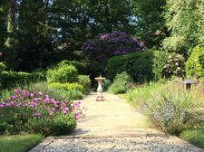 A hidden gem of a garden