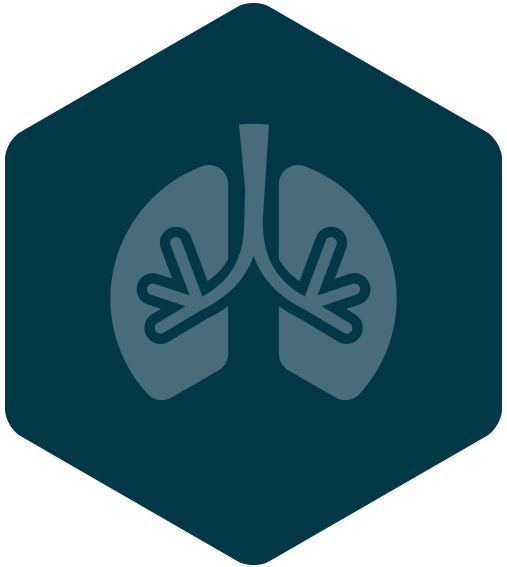 lungs_hexagon_icon.webp