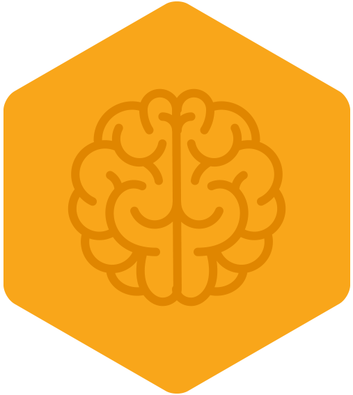 brain_hexagon_icon.webp