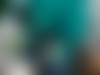 Effective Strategies for Organic Nematode Management in Agriculture