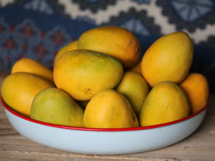 "Harmony in Harvest: Savoring the Global Journey of Kesar Alphonso Mangoes"