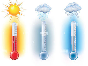 Kesar Mango Cultivation
