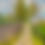 Thumbnail: Oil Painting | 16x20 | Spring Road