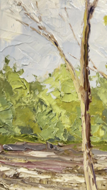 Thumbnail: Oil Painting | 16x20 | Spring Road