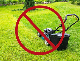 Screen Shot 2023-04-03 at 11.05.18 AM.png