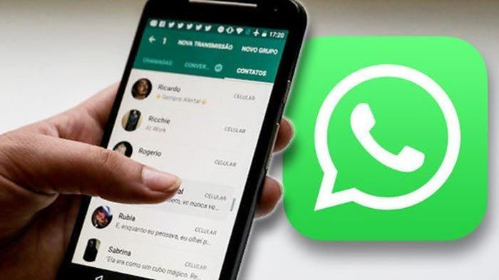 pesan whatsapp