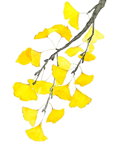 Untitled design (1).png