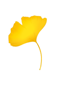 Untitled design (2).png