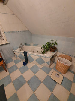 80131350_1257200131126108_46974994950662