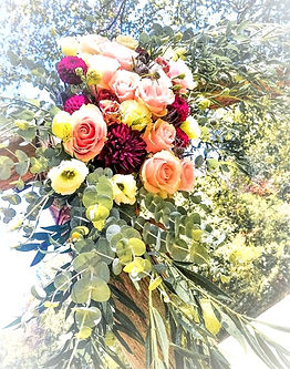 IMG_20191115_143118_452_edited_edited.jp