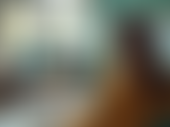 Remote Speech Therapy in Schools: Understanding Administrators and Parental Resistance Amongst Other Challenges