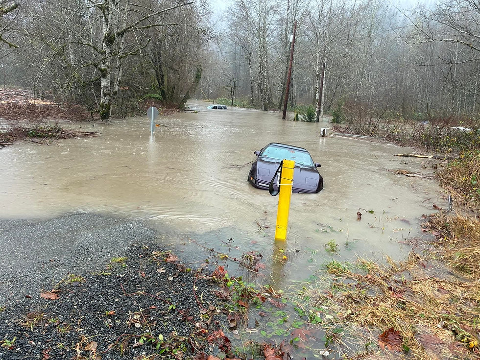 Vehicles that have floated out of the flooded garages and driveways