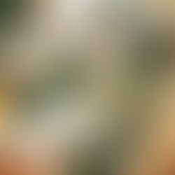 TRÄKÁL: Patagonian Spirit