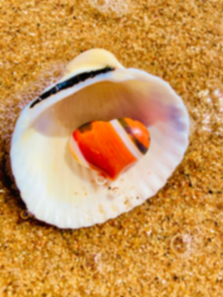 Mini Red Banded Agate Sound Heart