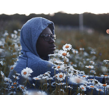 Sitting with the Daisies