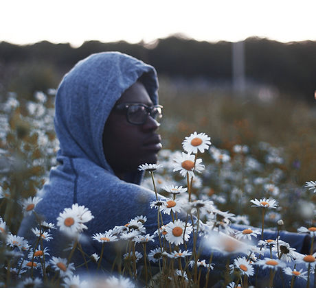 Sitting with the Daisies