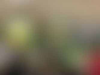 心晴有道—分享如何保持好心情
理工大學活齡學院第三齡體驗大學講座