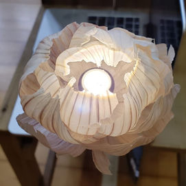 「黃大仙區快樂人生社區健康推廣計劃2019」之「感恩．生命」體驗營 (一)