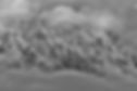 Skimmerhorn2.jpg