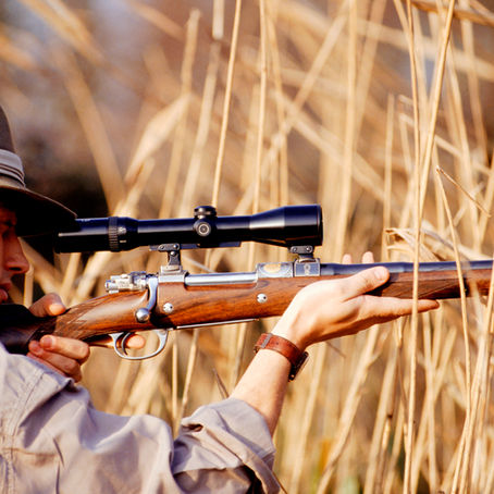 JUST STOP HUNTING