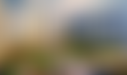 Mona Townships unveils project in Mohali