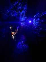 Grujeleg Leekoll_Rosset