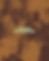 Artboard 3.png