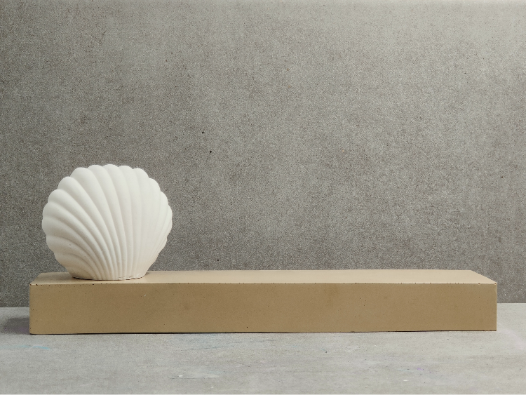Création commémorative moderne inspirée du voyage coquillage