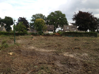 Bomen gerooid voor nieuwbouw Leyenhof in Helvoirt