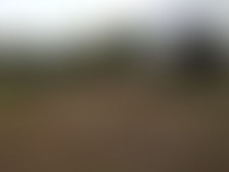 Bomen gerooid voor nieuwbouw Leyenhof in Helvoirt