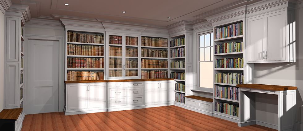 LIBRARY 4-23 2 options b view 1