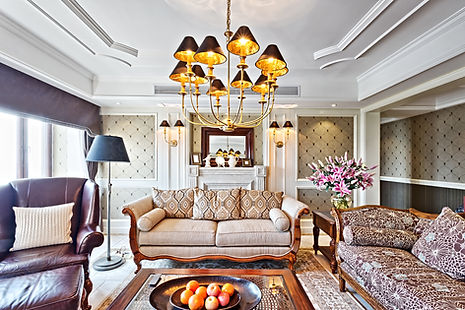 Elegant Living Room