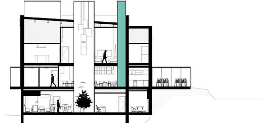 BIRD CENTER SECTION 2.jpg