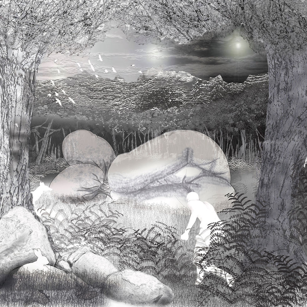 Ecosystem Drawing_Final.jpg