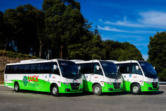 VOLARE ENTREGA NOVE MICRO-ÔNIBUS PARA A LUCK VIAGENS E TURISMO E REFORÇA ATUAÇÃO NO NORDESTE