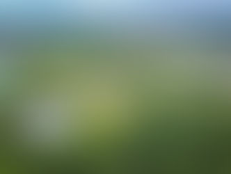 DANA RECEBE INÉDITA CERTIFICAÇÃO I-REC DE CONSUMO DE ENERGIA LIMPA