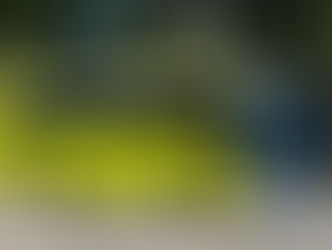 VIX LOGÍSTICA RENOVA FROTA COM 117 VEÍCULOS MARCOPOLO EM 2025