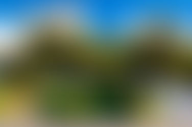 MARCOPOLO ENTREGA PRIMEIRO ÔNIBUS GERAÇÃO 8 MOVIDO A BIOMETANO PARA A PÁSSARO MARRON