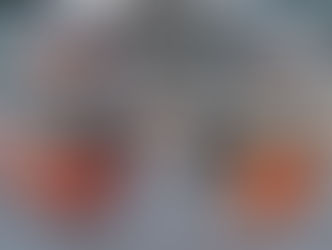 MARCOPOLO PROMOVE PROGRAMA DE TREINAMENTO DE CLIENTES