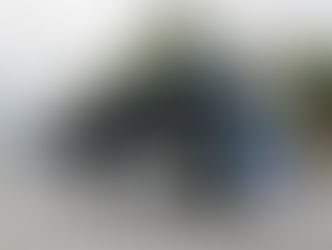 MARCOPOLO INICIA ENTREGA DE ÔNIBUS TORINO LOW ENTRY PARA O SISTEMA DE TRANSPORTE DO PANAMÁ