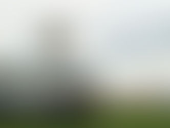 MICRO-ÔNIBUS NEOBUS THUNDER WAY PARA O PROGRAMA SOCIAL DO MDS