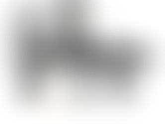 VENCEDORES DO PRÊMIO ALTAIR ENLIGHTEN 2023 TORNAM O FUTURO AUTOMOBILÍSTICO MAIS LEVE E SUSTENTÁVEL  