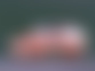 HONEYWELL COMEMORA 20 ANOS DO PRIMEIRO TURBO PARA A INDÚSTRIA BRASILEIRA