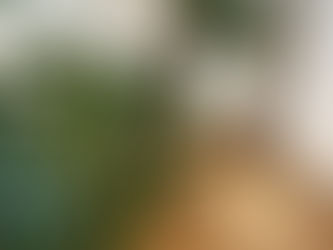 吸収率が上がる、、、?