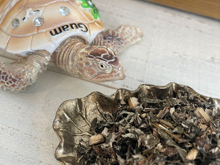 Hello☀️August🌻