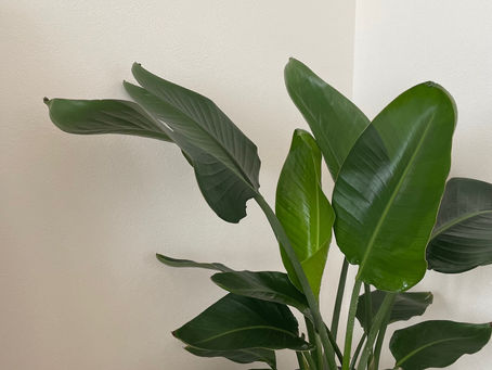 オススメスポット🌸