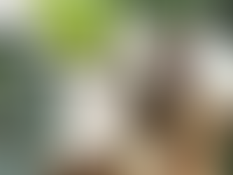 夏のダメージ☀️