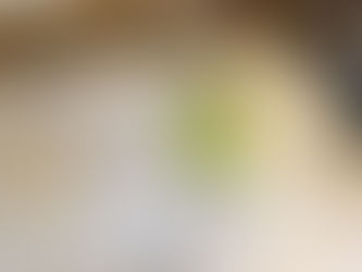 回数券が新しくなりました!