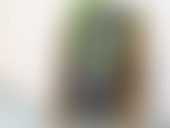 腸活に取り入れてみませんか?