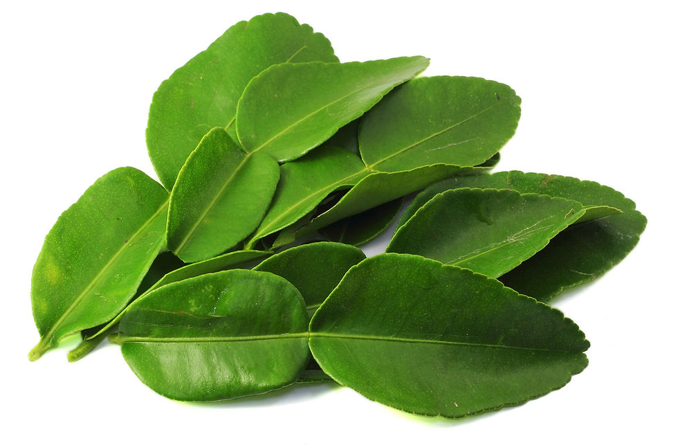 Miniature : Kaffir lime leaves 6 g